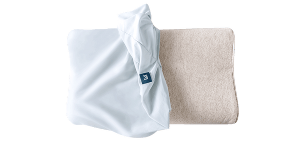 Anti-Mite & Sweat-Resistant Pillow Protector