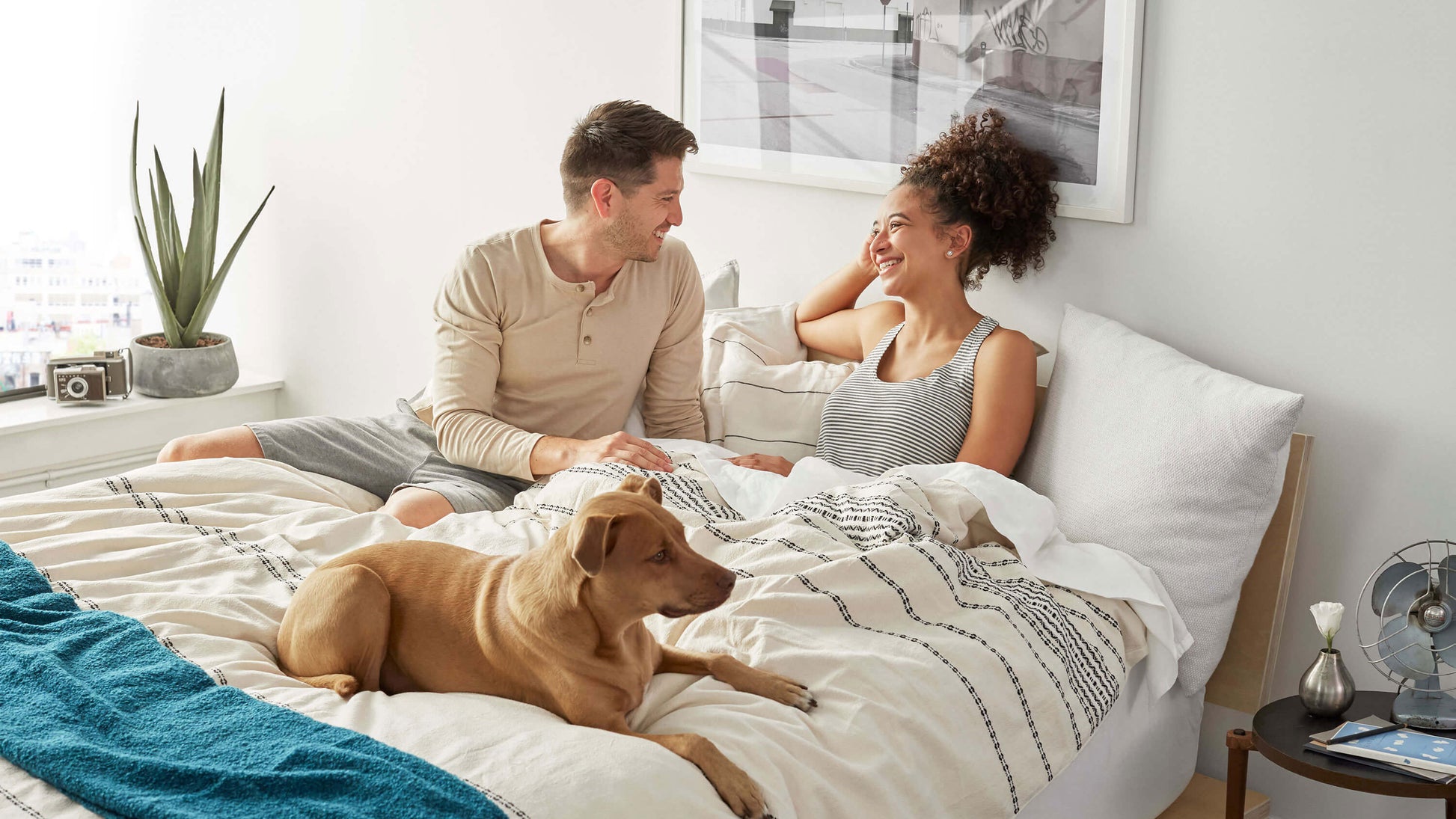 Tea Leaf Dream® mattress shown in a bright bedroom with a smiling couple and their dog, highlighting a quilted pillow-top surface and wave-stitched sides designed to deliver supportive comfort and a cozy, everyday sleep experience.