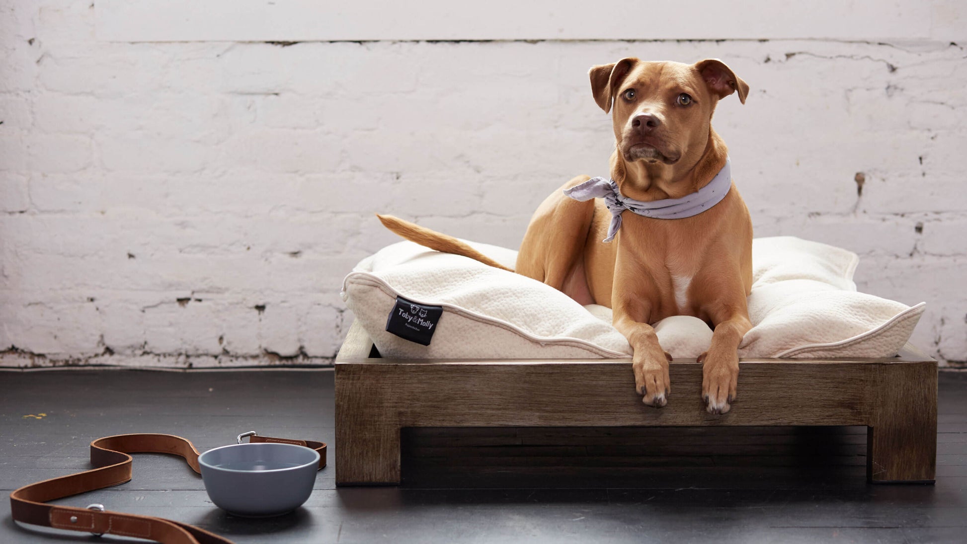 Zinus Toby & Molly pet bed with dog resting on cream cushion atop rustic wood frame, styled with leather leash and water bowl against white brick wall in modern loft setting.