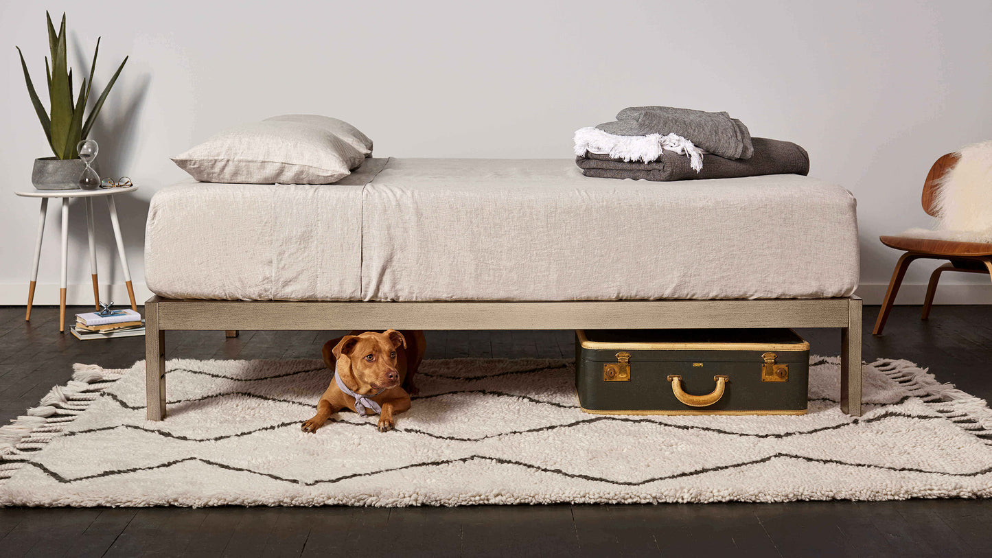 Keetsa The Frame bed frame in gold brushed finish styled in modern bedroom with linen bedding, dog resting underneath beside vintage suitcase demonstrating ample under-bed storage.